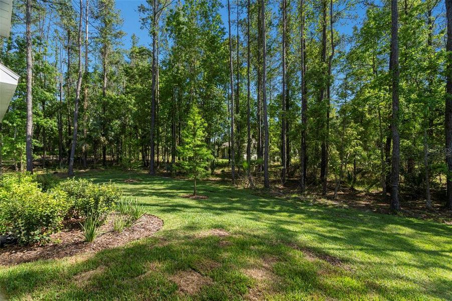 Natural landscape and outdoor views near  in Brooksville (Image 55).