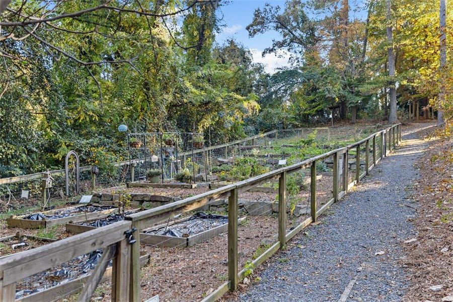 Natural landscape and outdoor views near  in Atlanta (Image 21).