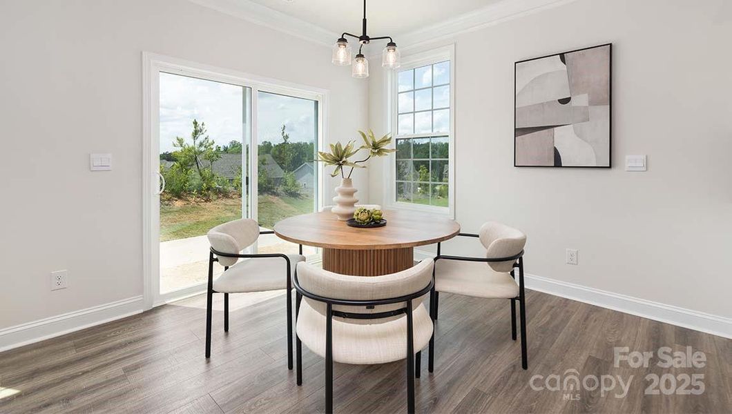 Furnished interior view inside a new home in Falls Cove, Troutman (Image 13).
