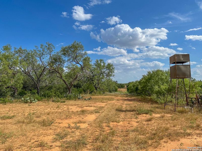 Natural landscape and outdoor views near  in Jourdanton (Image 25).