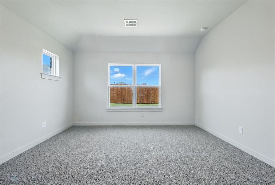 Spare room with carpet and vaulted ceiling