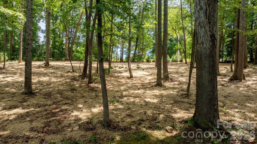 Natural landscape and outdoor views near  in Lincolnton (Image 43).