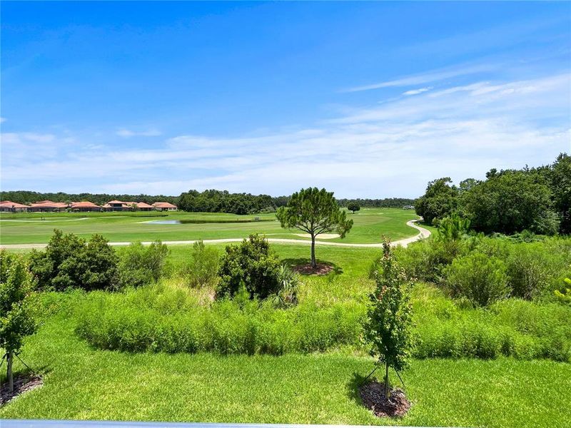 Natural landscape and outdoor views near  in Davenport (Image 35).