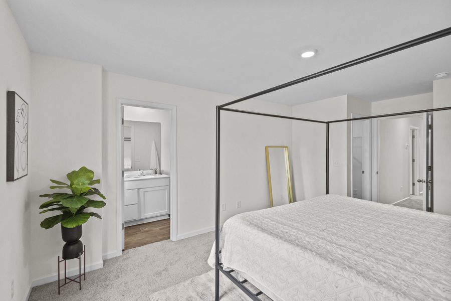 Palomino Owner's Suite Palomino Owner's Suite