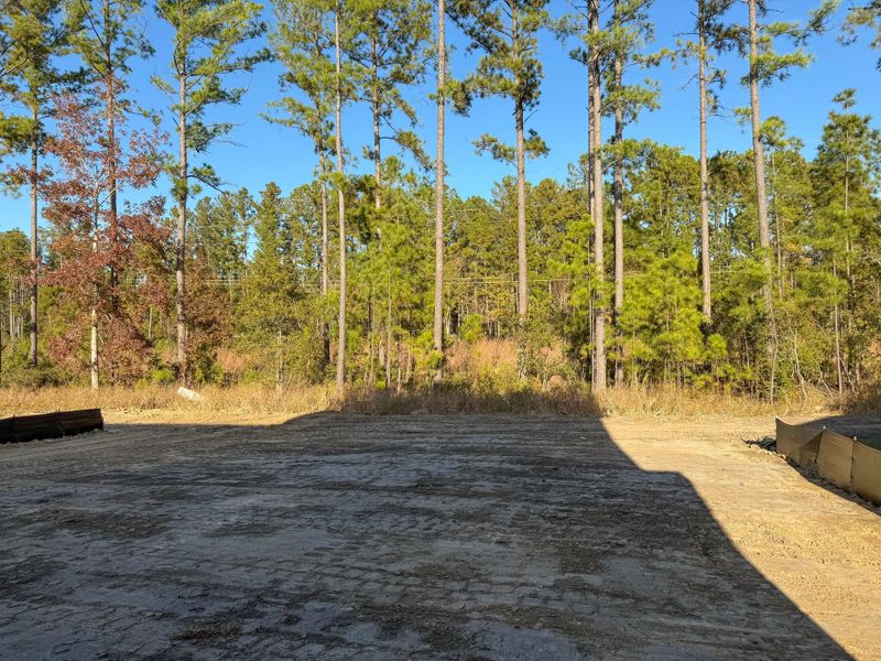 Image 45 of a home in Single Family Homes at Nexton.