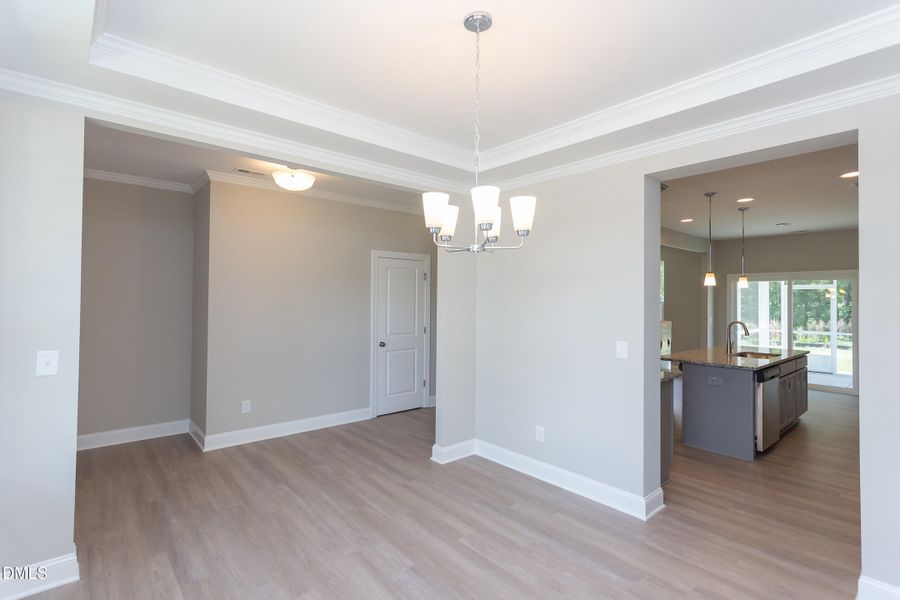 Badin - WSP 58 - IMG_7902