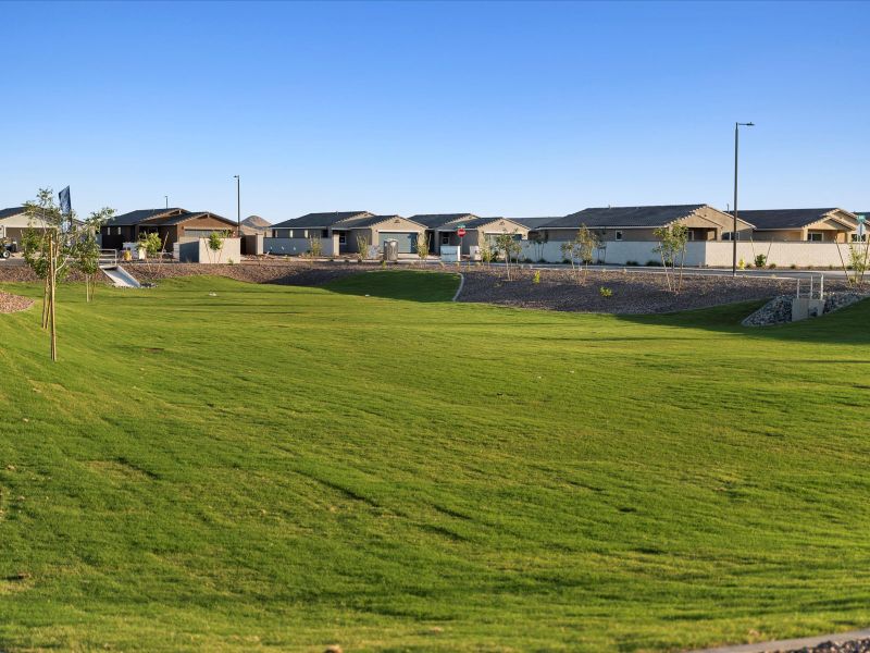 Green Lawn at Bella Vista Trails Amenity Center