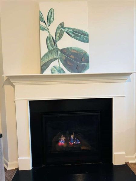 Close-up of interior finishes inside a home in , Powder Springs (Image 14). Close-up of interior finishes inside a home in , Powder Springs (Image 14).