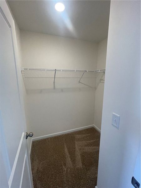 Spacious, unfurnished interior of a new home in Springwood Grove, Central (Image 25).