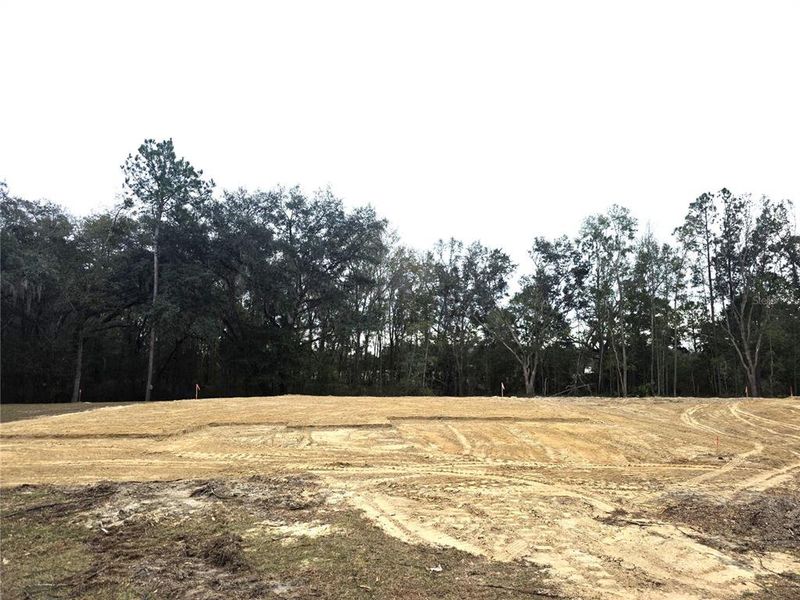 Site preparation for new homesites in The Preserve at Laurel Lake, Lake City (Image 14).