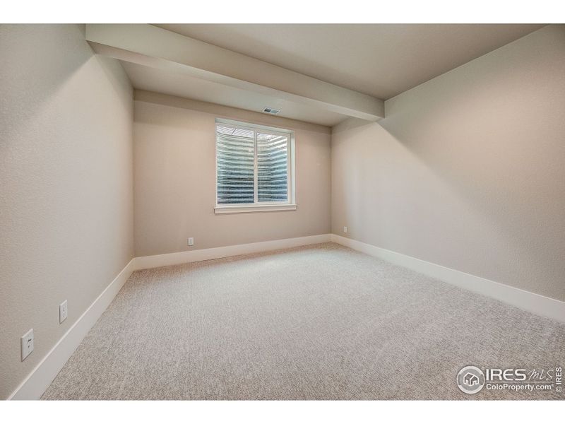 Basement bedroom.