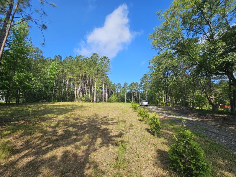 Natural landscape and outdoor views near in Hartsville (Image 7). Natural landscape and outdoor views near in Hartsville (Image 7).