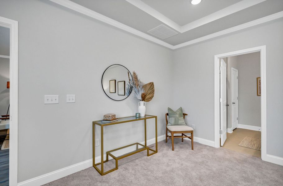 Furnished interior view inside a new home in Monroe Preserve, Chapin (Image 45).