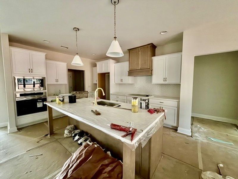 In-progress construction of a new home in Lakefield, Palmetto, GA (Image 6).