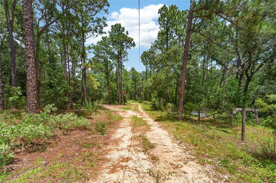 Natural landscape and outdoor views near  in Brooksville (Image 39).