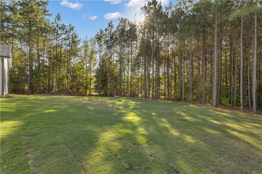 Natural landscape and outdoor views near  in Fairburn (Image 45).