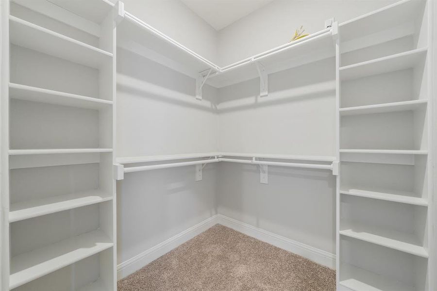 Walk in closet with carpet