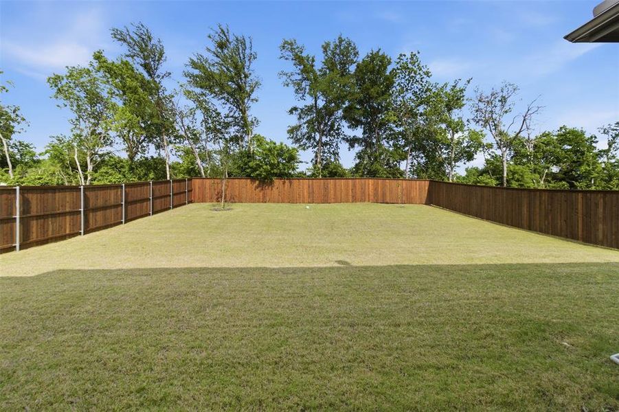 Expansive backyard featuring a large grass lawn and complete wood privacy fencing