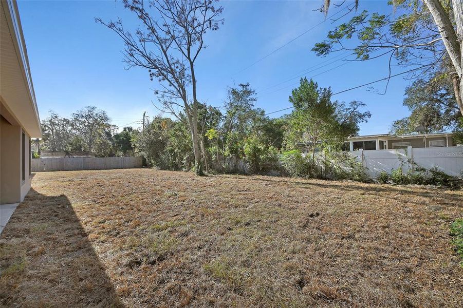 Natural landscape and outdoor views near in Daytona Beach (Image 29). Natural landscape and outdoor views near in Daytona Beach (Image 29).