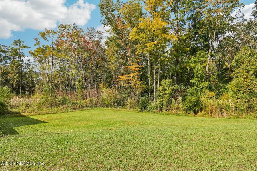 Natural landscape and outdoor views near  in Jacksonville (Image 24).