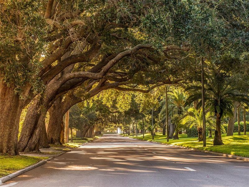 Natural landscape and outdoor views near  in Venice (Image 38).