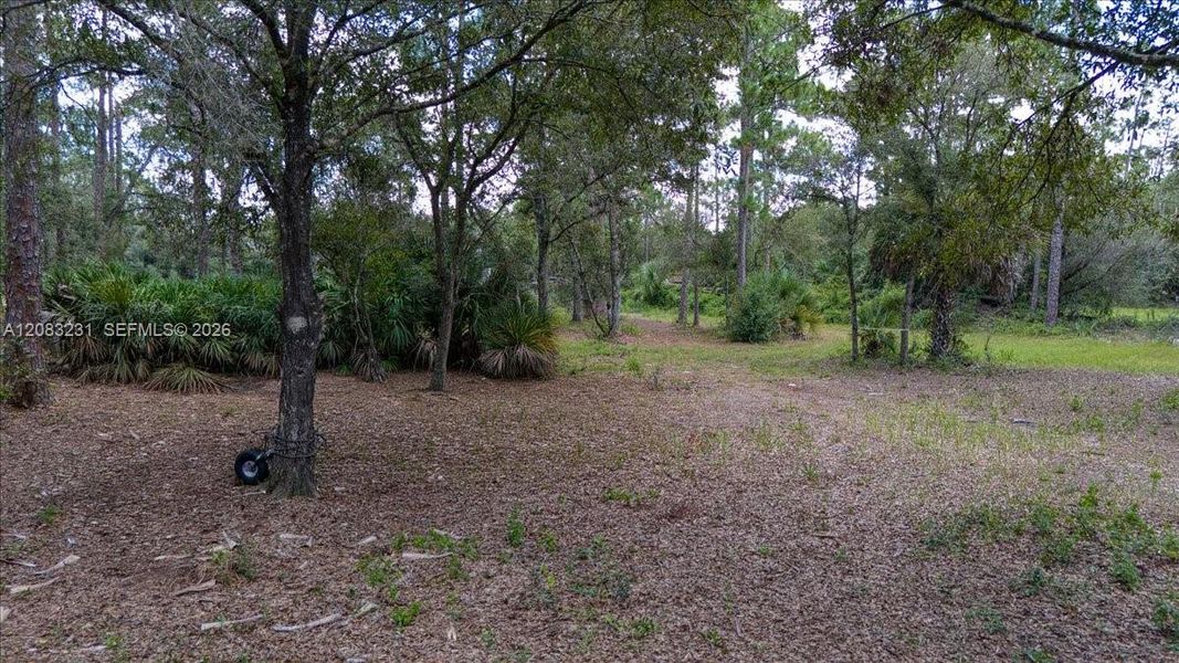 Natural landscape and outdoor views near  in Clewiston (Image 17).