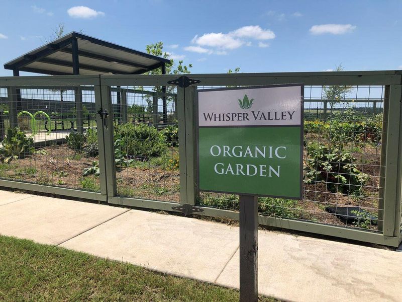 Community amenities in Whisper Valley, Manor (Image 18).