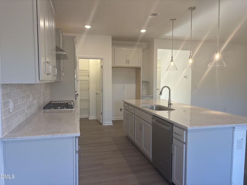 Photo_Nov_04_25 03-51-48 PM Photo_Nov_04_25 03-51-48 PM