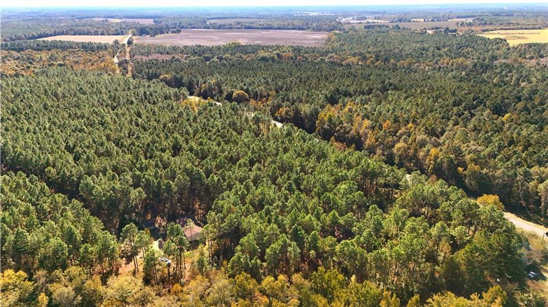 Natural landscape and outdoor views near  in Chester (Image 7).