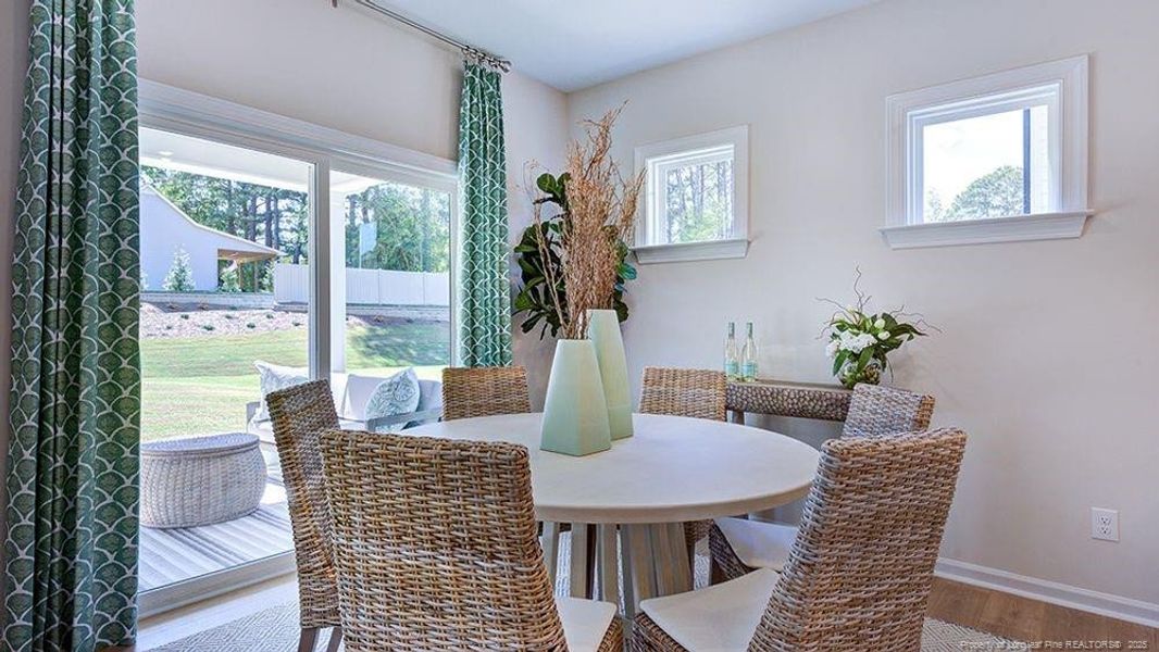 REPRESENTATIVE PHOTO