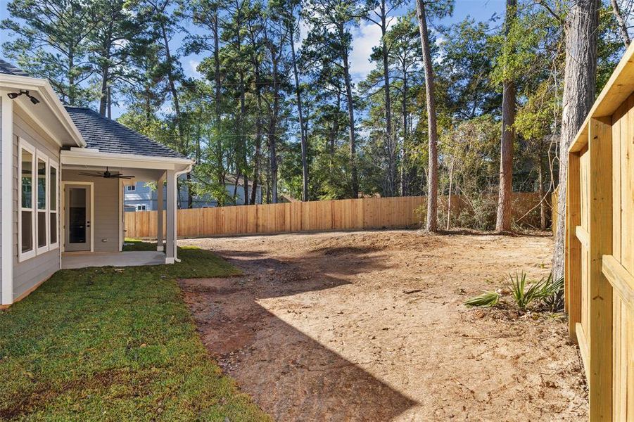 Another View of the Back Yard.