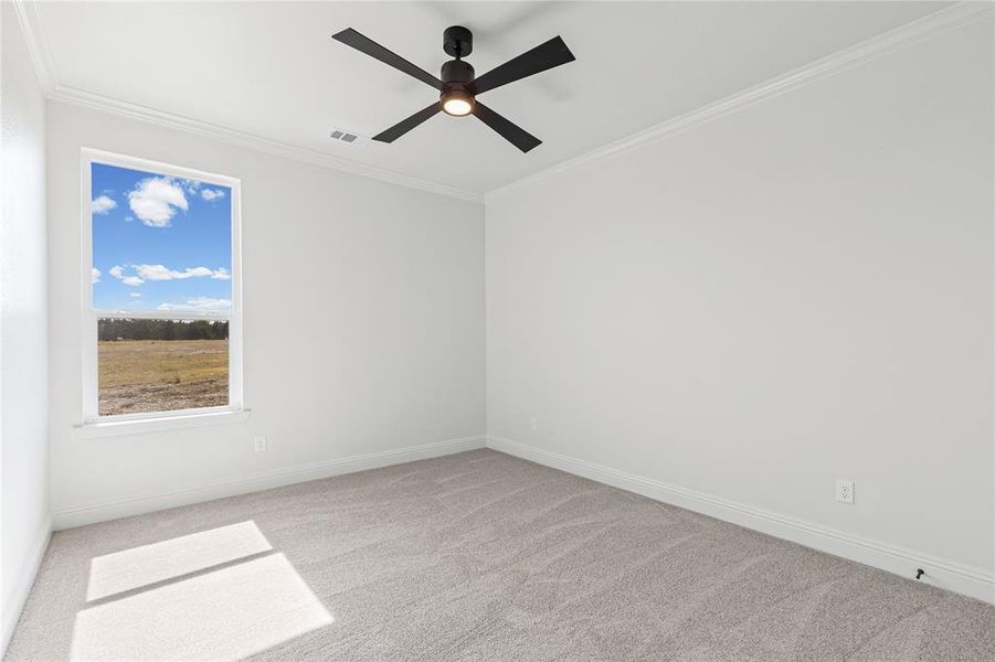 Empty room featuring light colored carpet, ornamental molding, and a ceiling fan