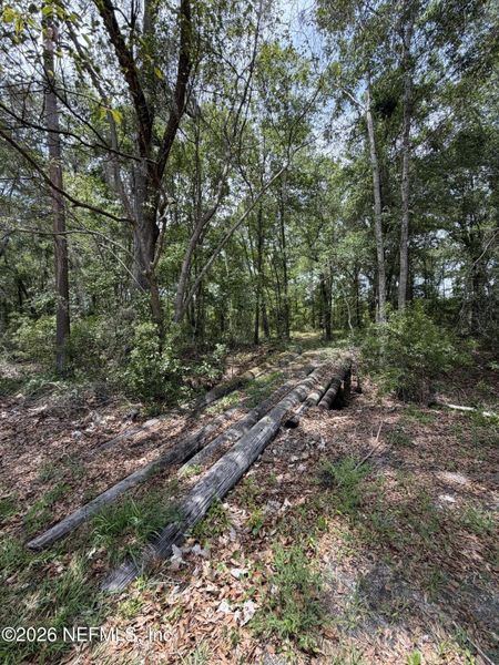 Natural landscape and outdoor views near  in Starke (Image 31).