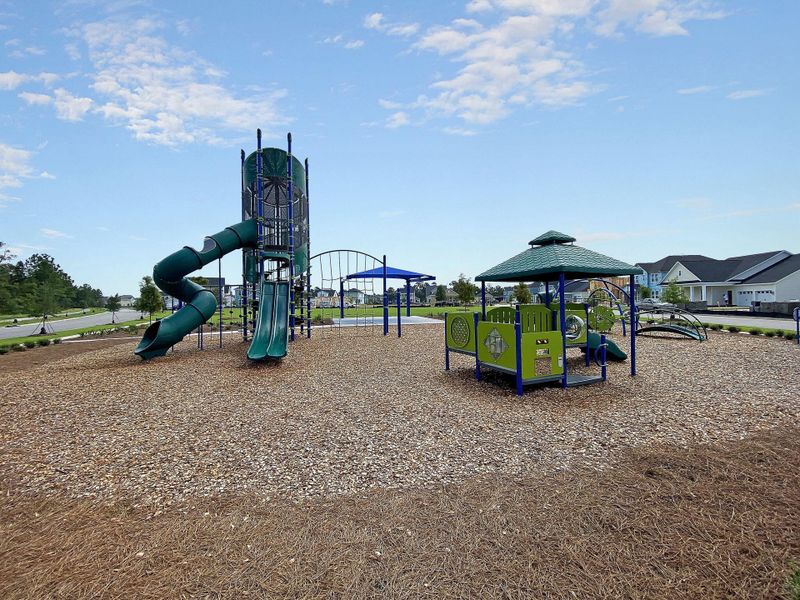 Community amenities in Carnes Crossroads, Summerville (Image 45).