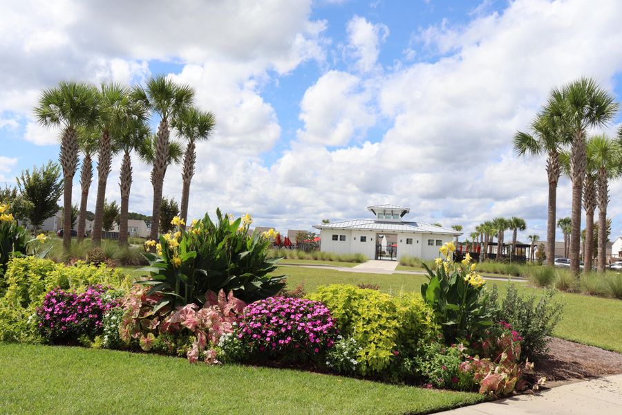Community amenities in Pender Woods at Cane Bay, Summerville (Image 38).