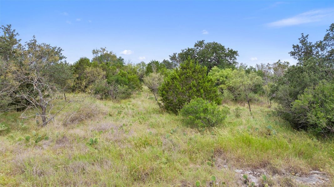 Natural landscape and outdoor views near in Spicewood (Image 21). Natural landscape and outdoor views near in Spicewood (Image 21).