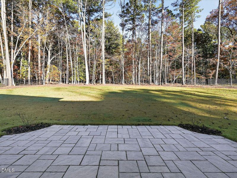 048-1280x960-back-yard 048-1280x960-back-yard