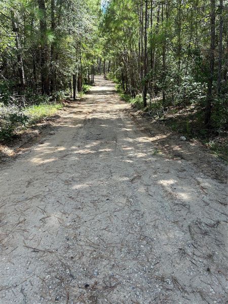 Natural landscape and outdoor views near  in Montgomery (Image 16).