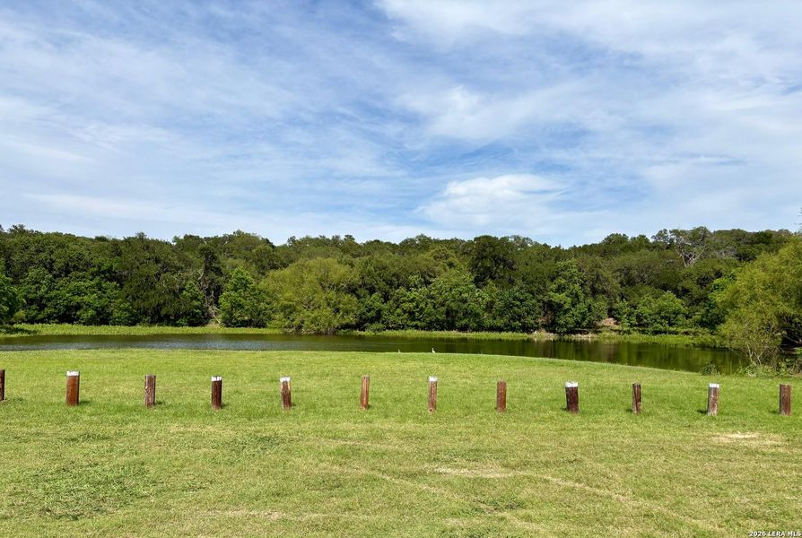 Natural landscape and outdoor views near  in Spring Branch (Image 28).