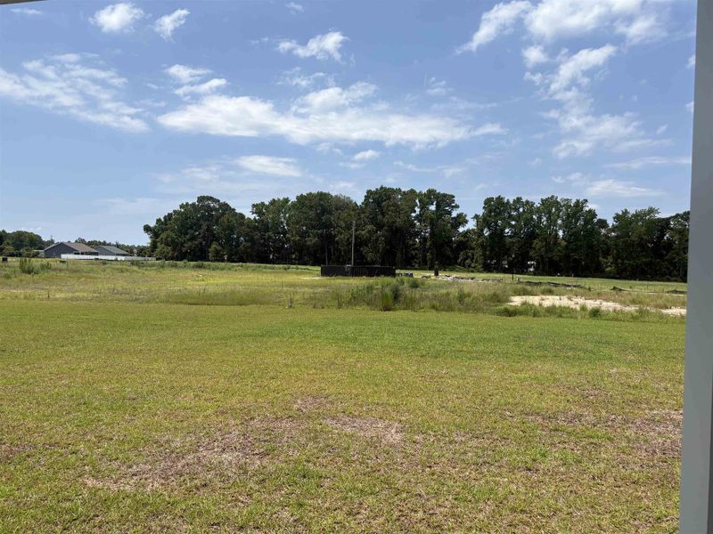 Natural landscape and outdoor views near Briarfield in Conway (Image 14). Natural landscape and outdoor views near Briarfield in Conway (Image 14).