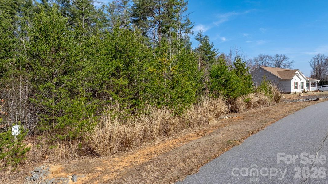 Natural landscape and outdoor views near  in Morganton (Image 14).