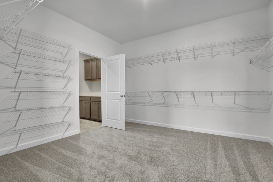 Spacious, unfurnished interior of a new home in East Wynd, Hampstead (Image 26).