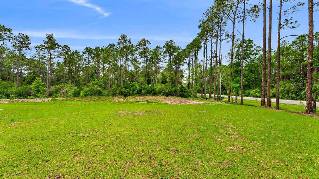 Natural landscape and outdoor views near Chateau Nemours in Port Saint Joe (Image 34).