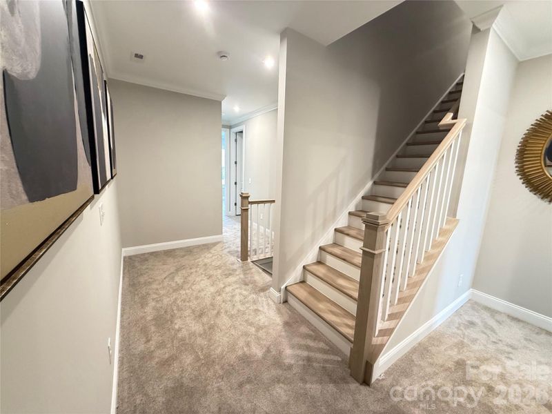 LVP Stairs to Third Floor