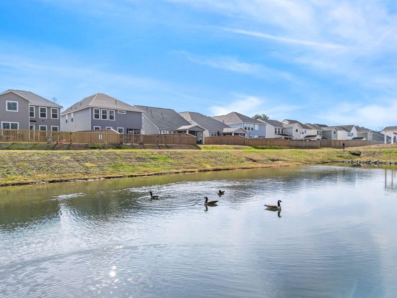 Image 34 of a home in Windsor Crossing.