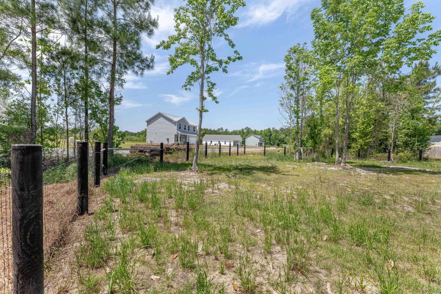 Natural landscape and outdoor views near  in Holly Hill (Image 38).