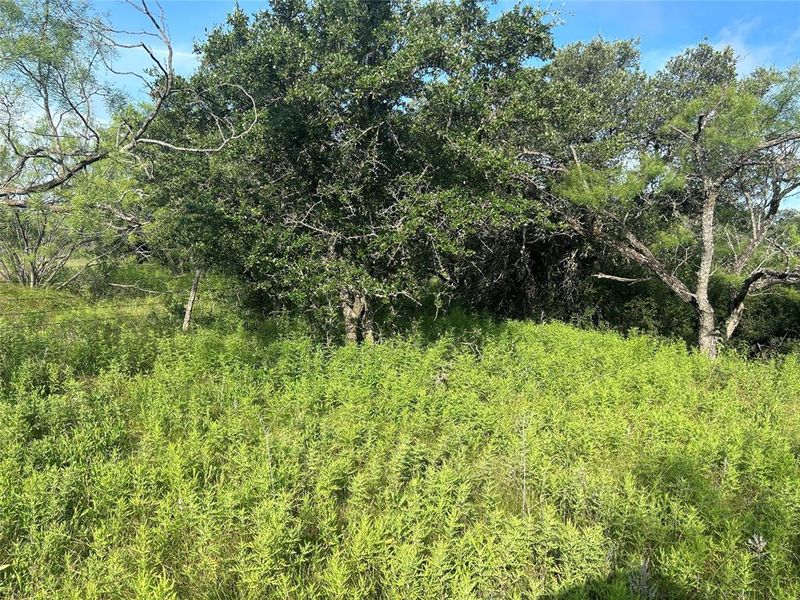 Image 25 of a home in . Image 25 of a home in .