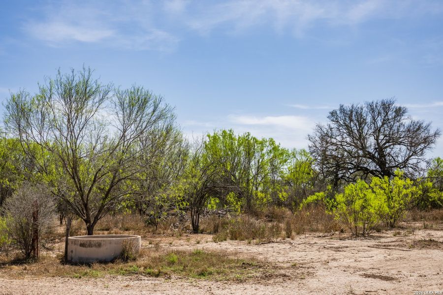 Natural landscape and outdoor views near in Crystal City (Image 17). Natural landscape and outdoor views near in Crystal City (Image 17).