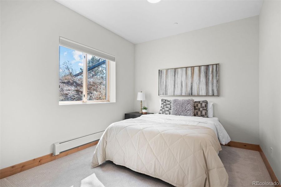 Lower level Bedroom #2