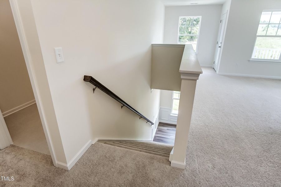 50002530-029_48440612122_o